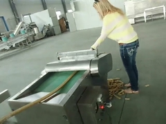 কিবল ফুড পোষা কুকুর বিড়াল ট্রিট মেশিন এক্সট্রুডার ইকুইপমেন্ট বিভি সার্টিফিকেশন