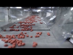 সম্পূর্ণ স্বয়ংক্রিয় সিই শংসাপত্র কুকুর খাদ্য এক্সট্রুডার পোষা খাদ্য প্রক্রিয়াকরণ লাইন