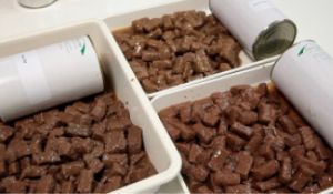 পেশাদার পোষা প্রাণী খাদ্য প্রক্রিয়াকরণ লাইন / পশু খাদ্যের জন্য মেশিন