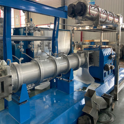 ডেল্টা ইনভার্টার ১০০ কেজি/ঘন্টা ভাসমান মাছের খাদ্য উৎপাদন লাইন