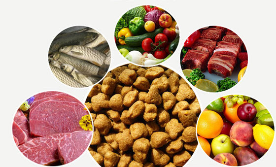 এসবিএন স্টেইনলেস স্টিল শুকনো কুকুরের খাবারের পেলেট তৈরির মেশিন