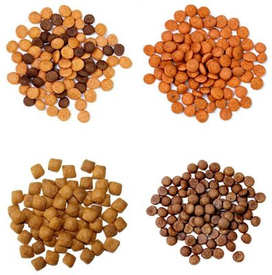 শুকনো গঠন কিবল স্বয়ংক্রিয় এক্সট্রুডার ডগ ফুড তৈরির মেশিন লাইন