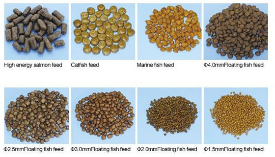 যমজ স্ক্রু এক্সট্রুডার সহ স্টেইনলেস পাখি পোষা খাদ্য মেশিন