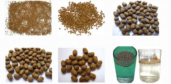 পোষা খাদ্য এক্সট্রুডার মেশিনের জায়গায় অপারেশন শেখানো পরিষেবা