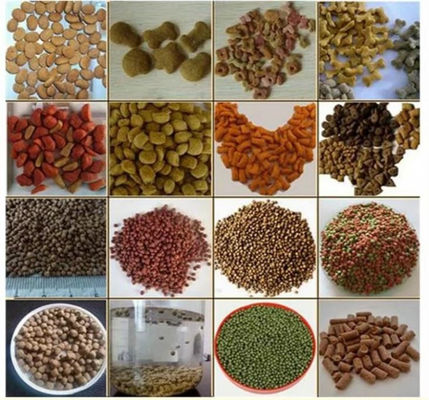 4t/H স্টেইনলেস জলজ মাছ ফিড এক্সট্রুডার মেশিন সিমেন্স মোটর সহ