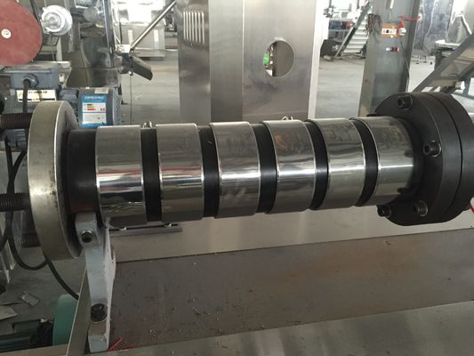 ডেল্টা ইনভার্টার ১০০ কেজি/ঘন্টা ভাসমান মাছের খাদ্য উৎপাদন লাইন