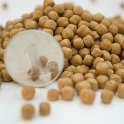 ২-৩ টিপিএইচ ফ্লোটিং ফিশ ফিড এক্সট্রুডার স্টেইনলেস স্টীল ২০১ উপাদান