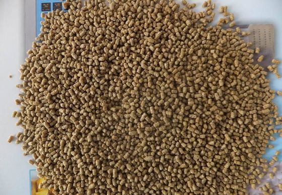 নাইজেরিয়ায় ভিজা প্রকারের কারখানার দাম মাছের খাদ্য মেশিন সরবরাহকারী মাছের খাদ্য প্রক্রিয়াকরণ extruder