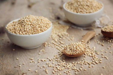 ক্ষুদ্র প্রাণী পোষা প্রাণী সাপ মাছ চিংড়ি খাদ্য তৈরীর মেশিন বিভিন্ন আকৃতির