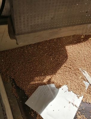 ক্ষুদ্র প্রাণী পোষা প্রাণী সাপ মাছ চিংড়ি খাদ্য তৈরীর মেশিন বিভিন্ন আকৃতির