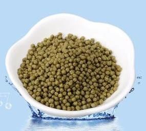 400-500kg/H Screw Fish Pellet Extruder Small Floating Fish Feed Machine