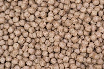 মাছের খাদ্য প্রস্তুতকারক মাছের খাদ্য তৈরির মেশিন এক্সট্রুডার প্ল্যান্ট