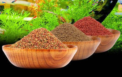 200-260 কেজি/ঘন্টা টুইন ফিশ ফুড পেললেট মেশিন মাছ খাওয়ানোর সরঞ্জাম