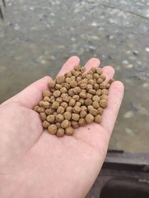 ১০০-১৬০ কেজি/ঘন্টা ভাসমান মাছের খাদ্য তৈরির মেশিন পেললেট মিল