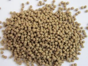 500-600 কেজি/ঘণ্টা জলজ চাষের জন্য মাছের ভাসমান খাদ্য তৈরির মেশিন