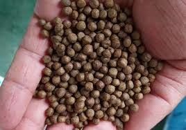 এসইউএস অ্যাকোয়াকুলচার ফিশ ফিড উত্পাদন মেশিন 100kg/H-6t/H