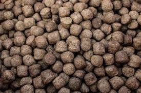 ৬ টিপিএইচ টুইন স্ক্রু ফিশ ফিড এক্সট্রুডার ফ্লোটিং ফিশ ফিডের জন্য