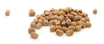 ৬ টিপিএইচ টুইন স্ক্রু ফিশ ফিড এক্সট্রুডার ফ্লোটিং ফিশ ফিডের জন্য