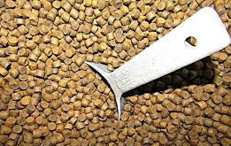 ৬ টিপিএইচ টুইন স্ক্রু ফিশ ফিড এক্সট্রুডার ফ্লোটিং ফিশ ফিডের জন্য