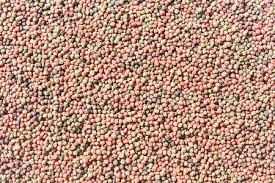 100 কেজি/ঘণ্টা-6 টন/ঘণ্টা ডুয়াল স্ক্রু ফিশ ফিড এক্সট্রুডার ফ্লোটিং ফিশ ফিড পলেট মেশিনের জন্য