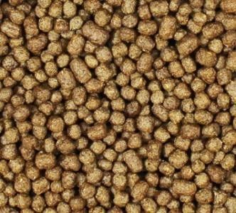 Twin Screw SUS Fish Feed Extruder Fish Food Manufacturing Machines